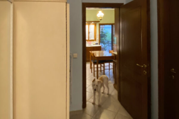 apotiposi diadromos 3